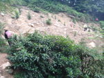 經一大塌方位, 此處是獅壁石澗(左支)接舊鳳徑位
DSC09185_resize