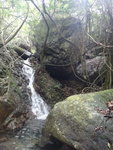 DSC09227_resize