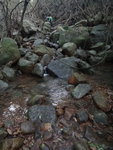 下降木魚坑
DSC09229_resize