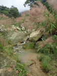 上溯獅壁石澗
DSC09236_resize