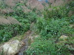 DSC09237_resize