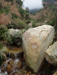 DSC09238_resize