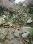 DSC09239_resize