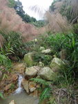 上溯獅壁石澗
DSC09242_resize