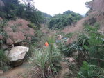 前少少便見到在大休的大隊
DSC09245_resize