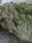 DSC09250_resize