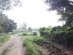 轉右入鐵閘
DSC09499_resize