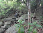 因為林中有條坑, 有少少水可以降降溫
DSC09520_resize