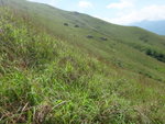 上雞公嶺途中右望無過坑的隊友在右邊沿脊上走
DSC09524_resize