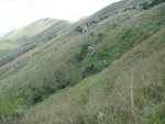 西南脊上雞公嶺途中左望 DSC09530_resize