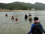 泳渡往對面的熨波洲
DSC01173
