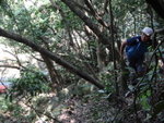 唯有再偏右過(蜂巢在相左下小樹中)
DSC09810