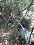 等大隊期間上去少少睇睇
DSC09811