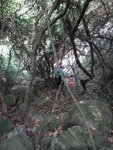 下降彌石散石澗
DSC09835