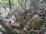 DSC09838