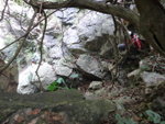 DSC09839