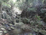 DSC09846