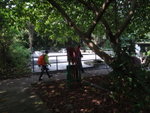 出石散頭村
DSC09866