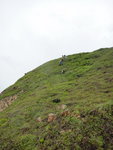 跨脊草坡回落東北岸
DSC01420