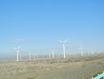 達板城戈壁灘上的風力發電站是全亞洲最大的風力發電廠
IMG_00176