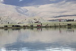IMG_02855