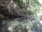 上溯蕉坑主源, 好好水且頗多瀑壁哩
DSC01332