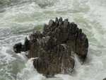 DSC01863