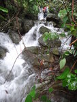 DSC02265
