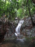 DSC02290