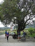 IMGP2237