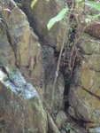 入澗下降無耐第一個小瀑壁己遇蜂巢, 有隊友被剌, 唯有左邊蜂巢上面繞過
DSC01883