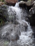 DSC02912