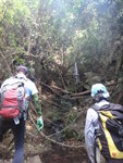 前臨一高瀑, 有隊友左邊穿林上攀
DSC03451