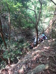 瀑左穿林上攀靠樹根
DSC03456