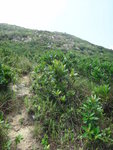 DSC03626