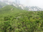 回望剛才離澗上山的脊路
DSC03630