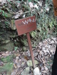 西高山北坑(W4)
DSC03714