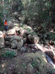 DSC03720
