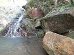 下降西高山北坑(W4), 經一龍潭, 都係唔好浸啦, 因為澗頭是公&#21408;嘛
DSC03722