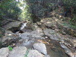 DSC03735