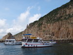 DSC03963