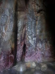 吊鐘東南洞尾
DSC04765