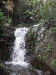 DSC05596