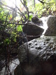 DSC05624