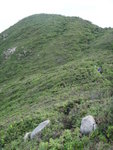 DSC06013