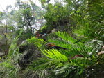 DSC06189