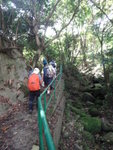 石屎村路經多個墳地, 相信是拜山路
DSC06802