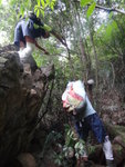 上了大石頂的隊友便要借樹之助落番地
DSC06931