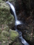 DSC06982