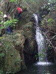 DSC06990